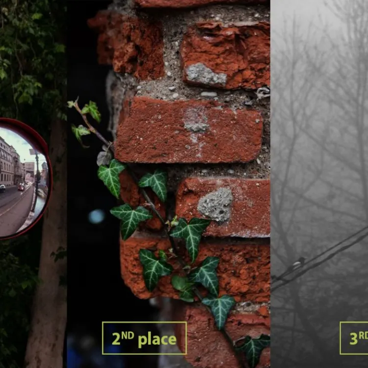 Winners Announced: IUS Student Photo Contest 2026 – “Concrete Jungle”
